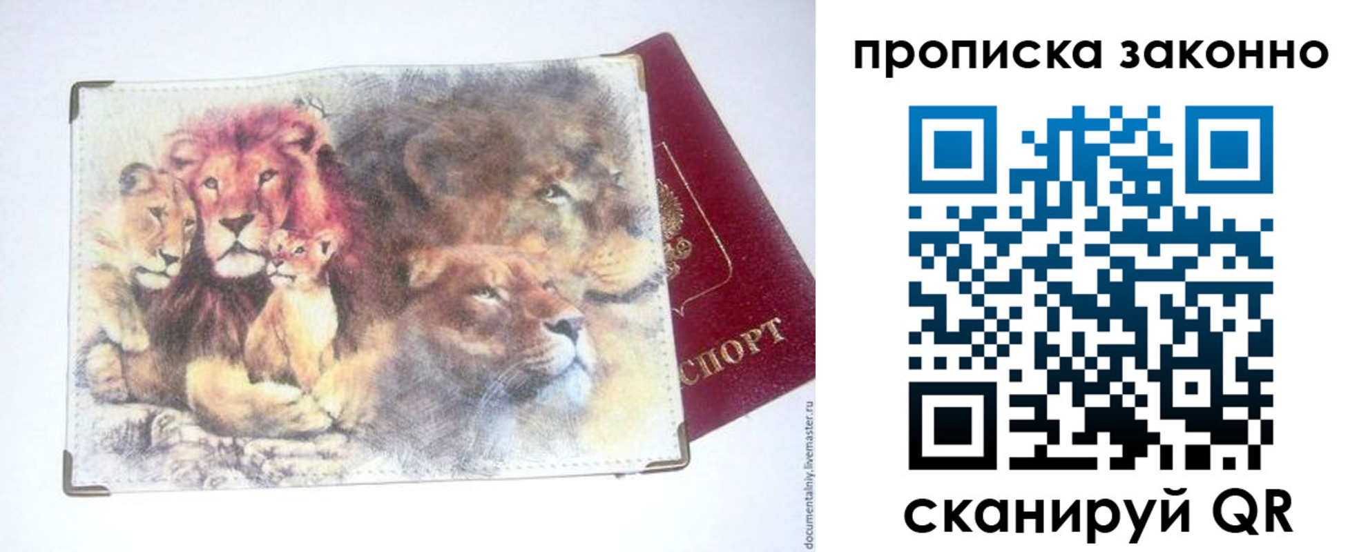 прописка от собственника в Владивостоке